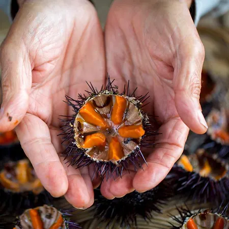 Lejlighed Lena Vecchia